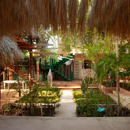 Ferienwohnung M A R E A V I V A - Z I P O L I T E - O A X Zipolite Exterior foto