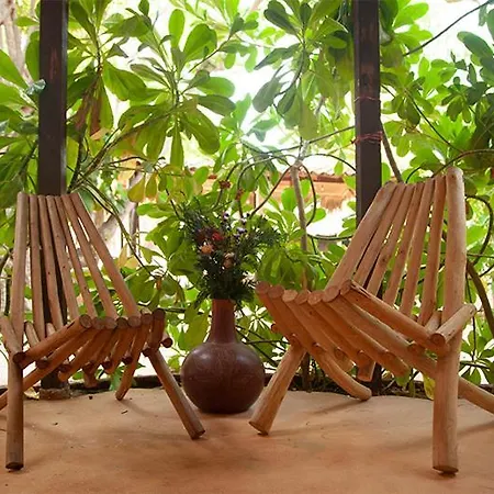 Ferienwohnung M A R E A V I V A - Z I P O L I T E - O A X Zipolite Exterior foto